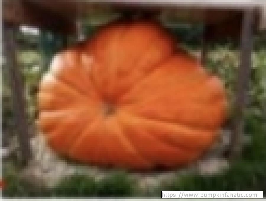 fruitImages/872 Derouin 2021.jpg